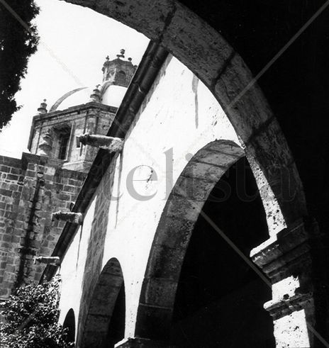 Entre líneas (lines)
