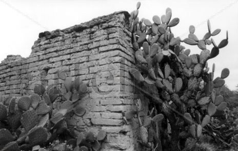 Cerquita mío (close...