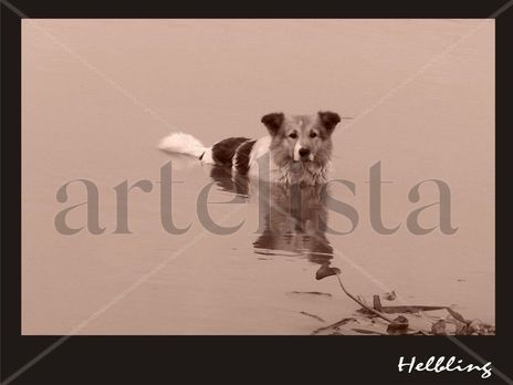 Abandonado a su suerte