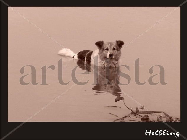 ABANDONADO A SU SUERTE