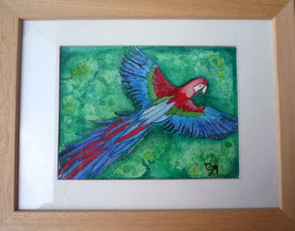 Guacamaya