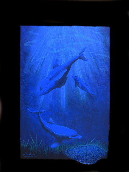 Delfines Oil Canvas Others