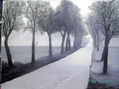 camino con niebla