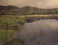 EL LAGO FOG