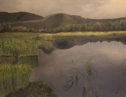 El lago fog