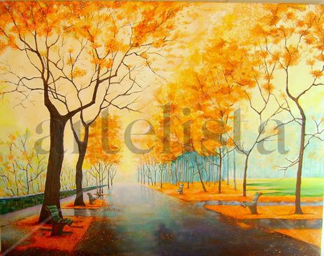 Paisaje y reflejos
