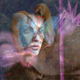 mirada del cisne
