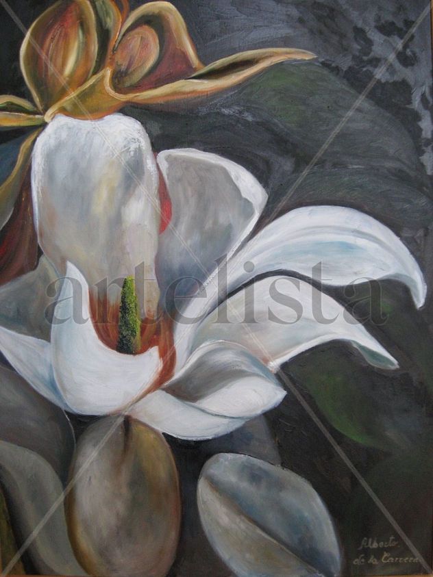 flor de magnolio blanco