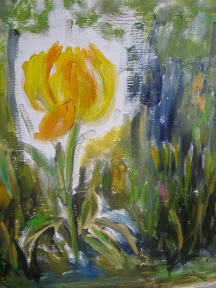 Tulipan amarillo