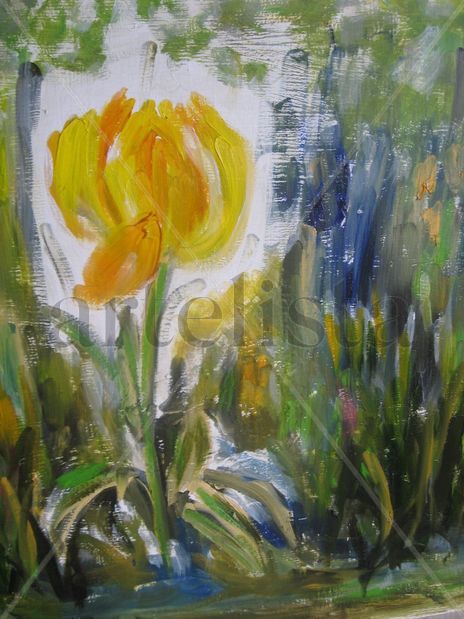 Tulipan amarillo