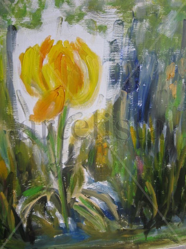 tulipan amarillo