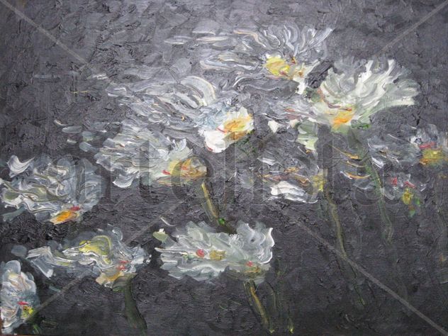 reflejo de margaritas al viento en la noche