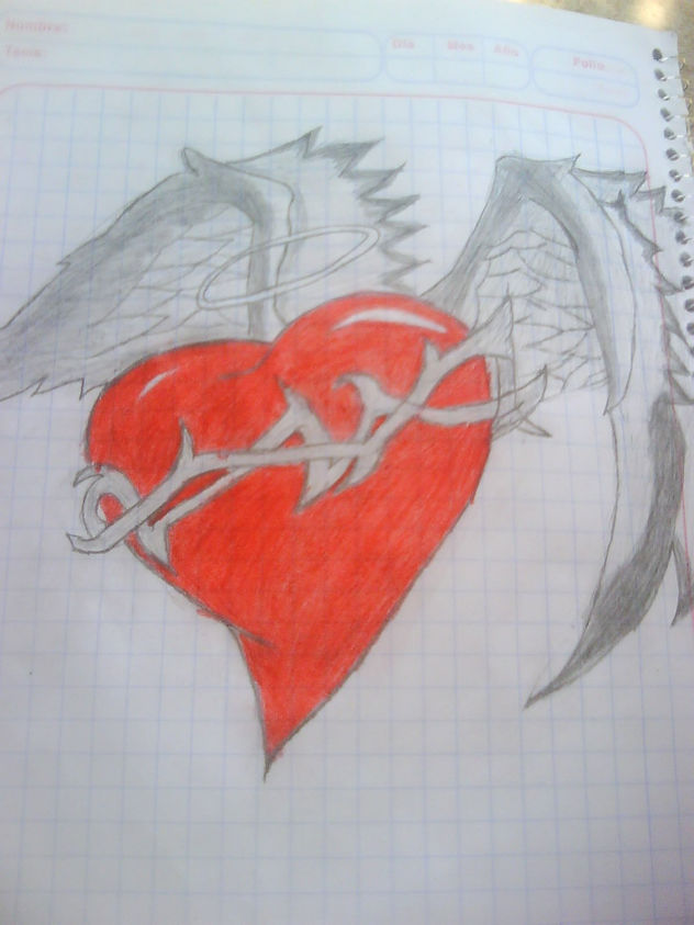 coraxon con alas
