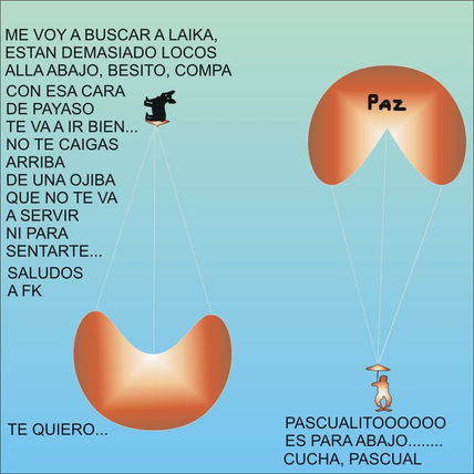 Pascual busca a laika