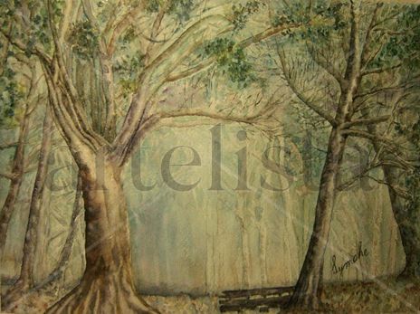 Bosque  mágico