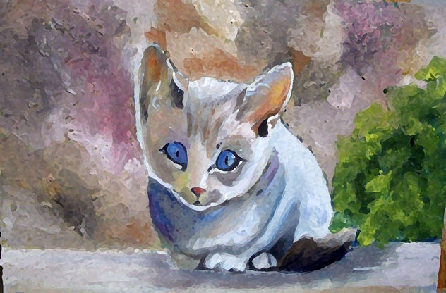 LLUNA , BEBE, COLOR,