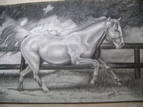 Caballo