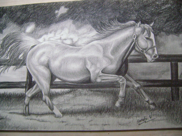 caballo 