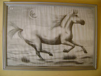 Caballo salvaje