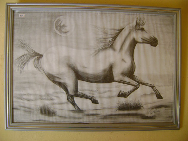 caballo salvaje Charcoal