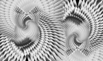 Blanco y negro