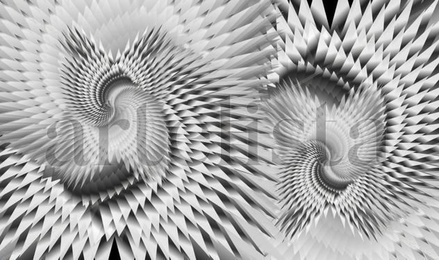 BLANCO Y NEGRO