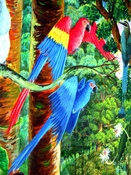 Fauna