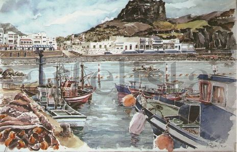 Puerto de Las Nieves