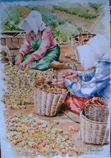 Seleccionando tomates Watercolour Card Figure Painting