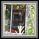 FOTOGRAFÍAS DEL 2011 thumbnail 2