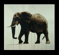 Elefante