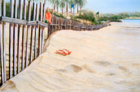 Playa del...