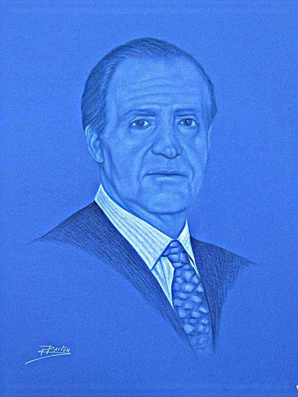 El Rey D. Juan Carlos I