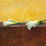 Flores thumbnail 1