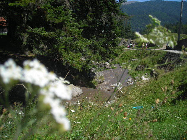 busteni