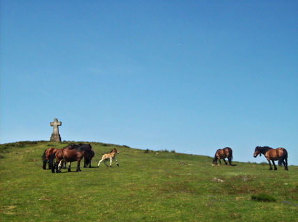 Monte Saibigain
