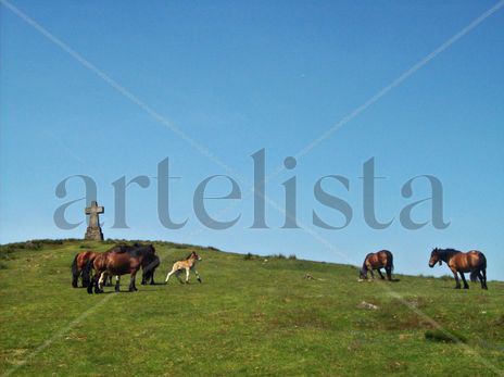 Monte Saibigain