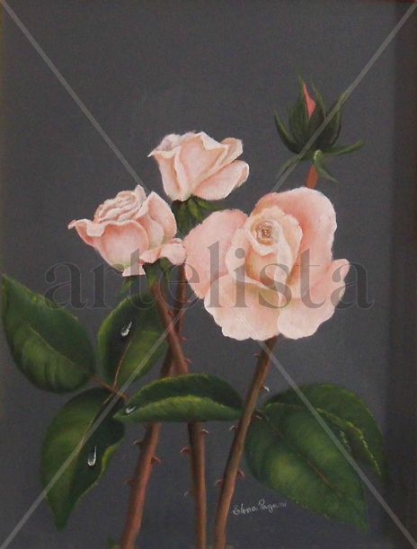 Rosas bajo el rocio