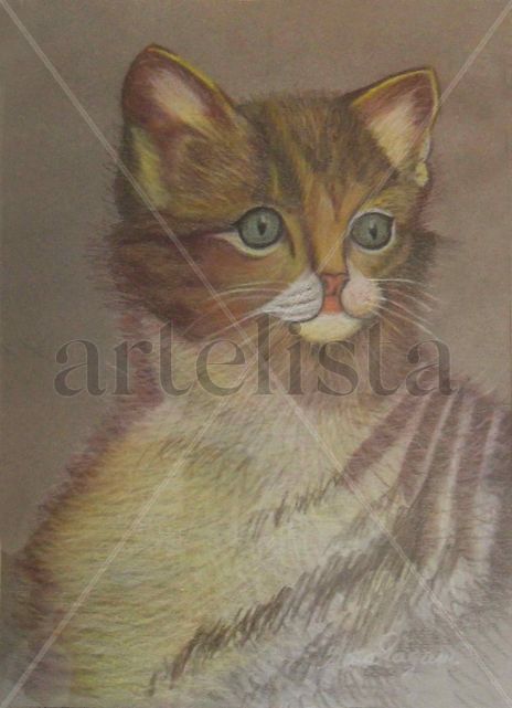 El gatito