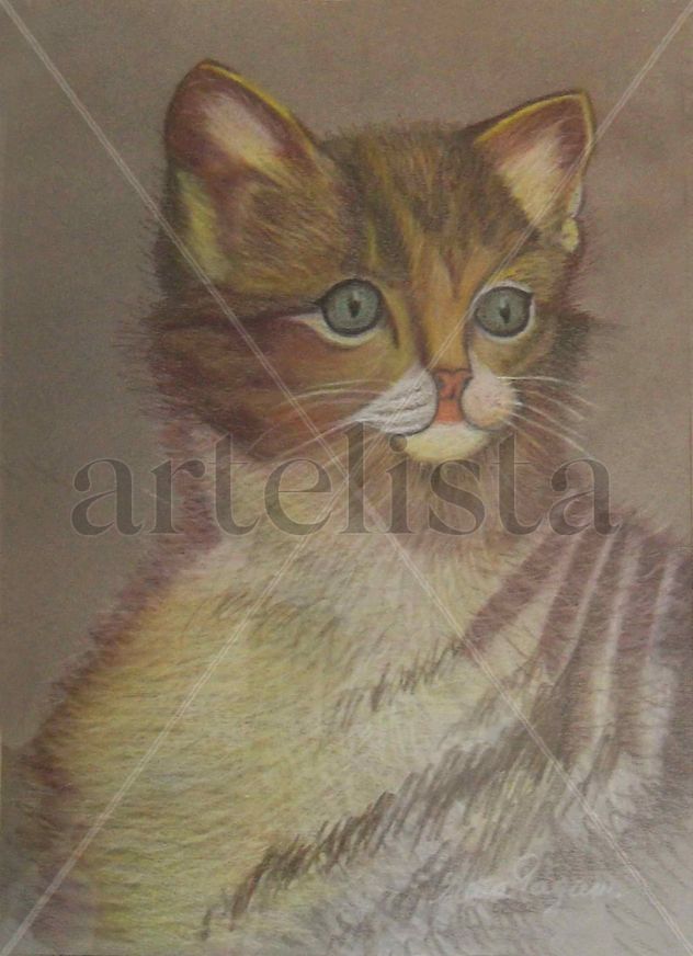 EL GATITO