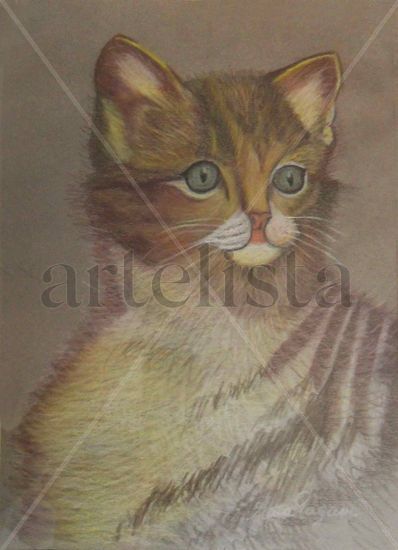 EL GATITO Pastel Canvas Animals