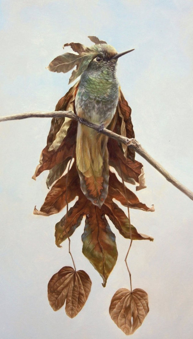 colibri