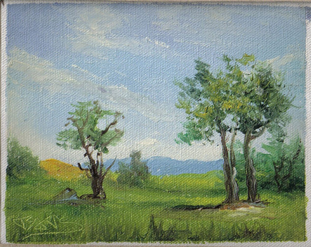 Paisaje Oil Canvas Landscaping