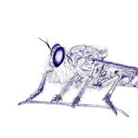 Insectos thumbnail 1