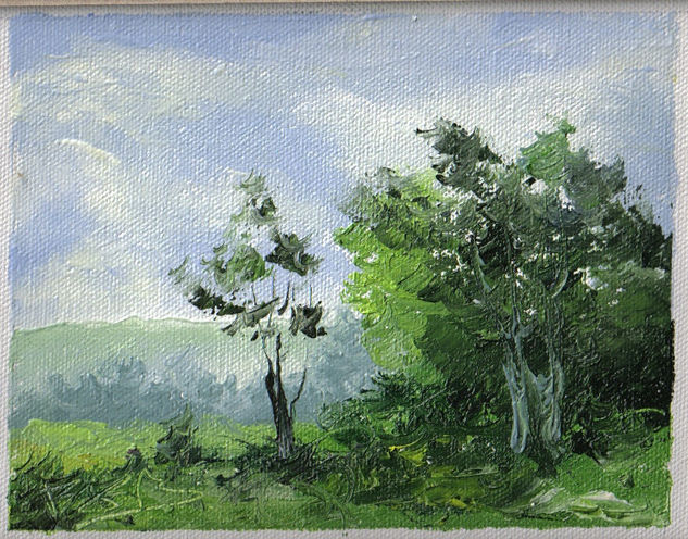 Paisaje Oil Canvas Landscaping