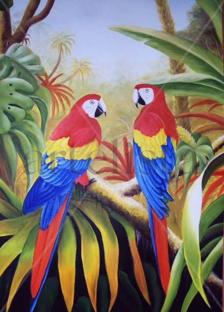 Charla de Guacamayas o lapas