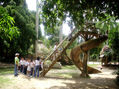 PARQUE MEGUA