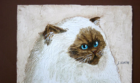 retratos de mascotas