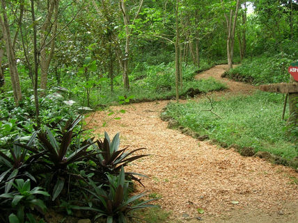Fotos del parque megua
