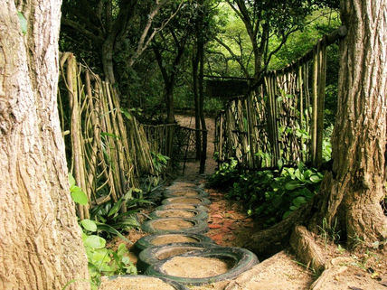 Tunel de arboles